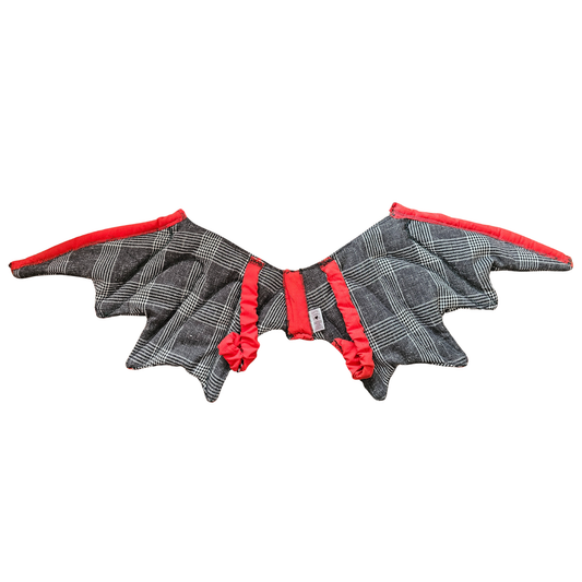 Perfectly Imperfect Dragon Wings