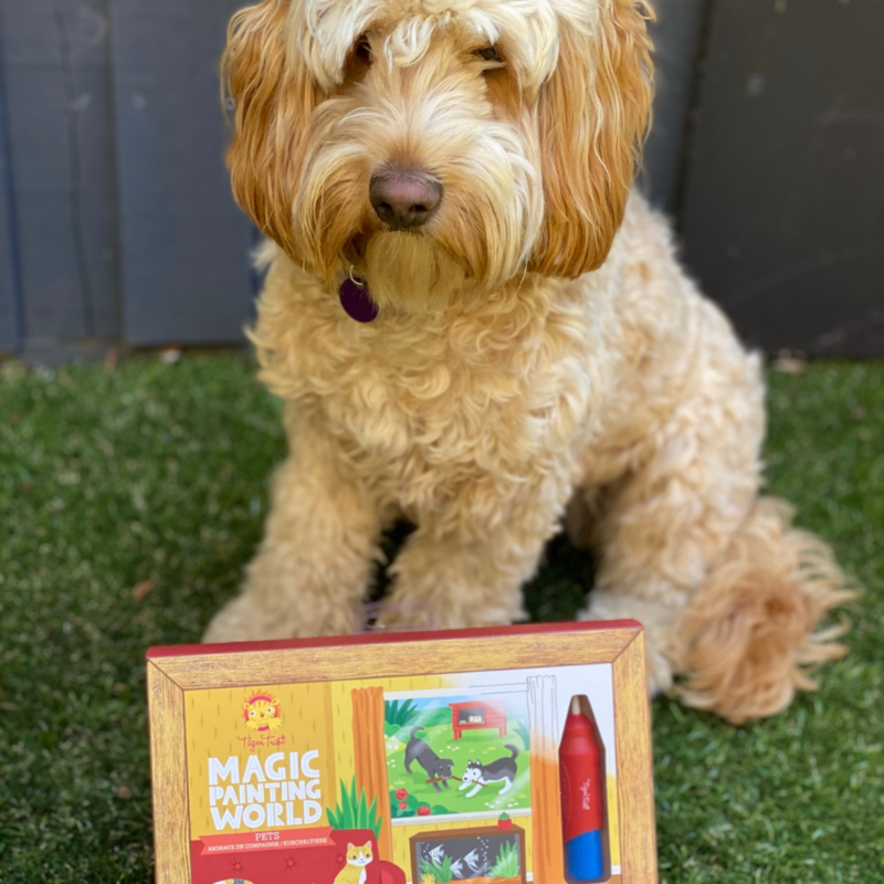 Magic Painting World | Pets
