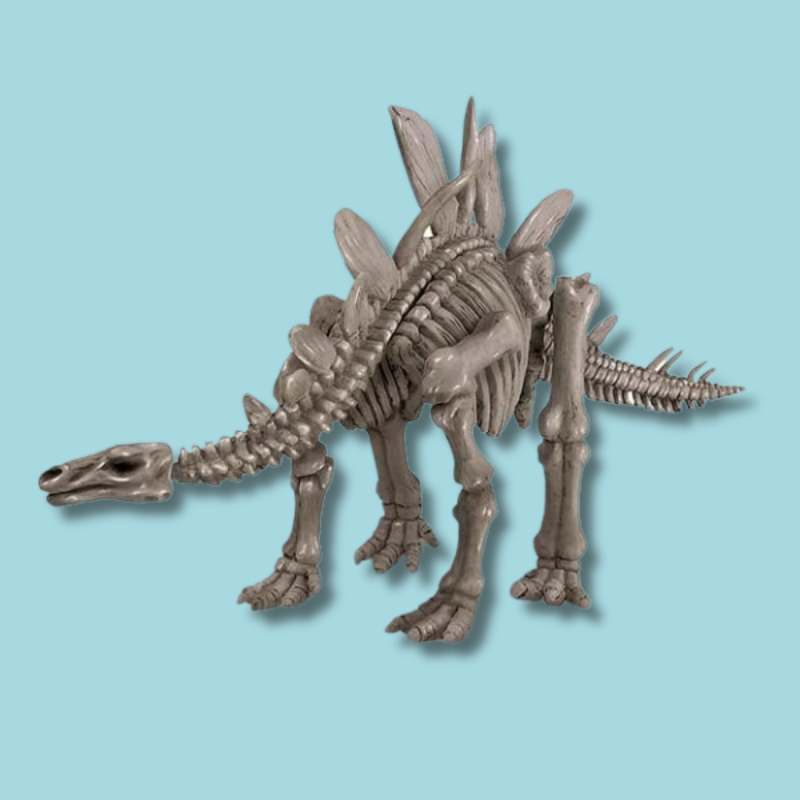 Dig A Dinosaur Skeleton | Stegosaurus