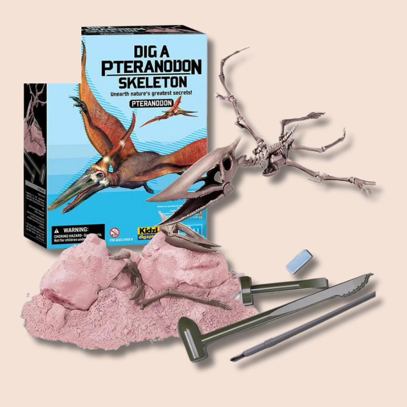 Dig A Dinosaur Skeleton | Pteranodon