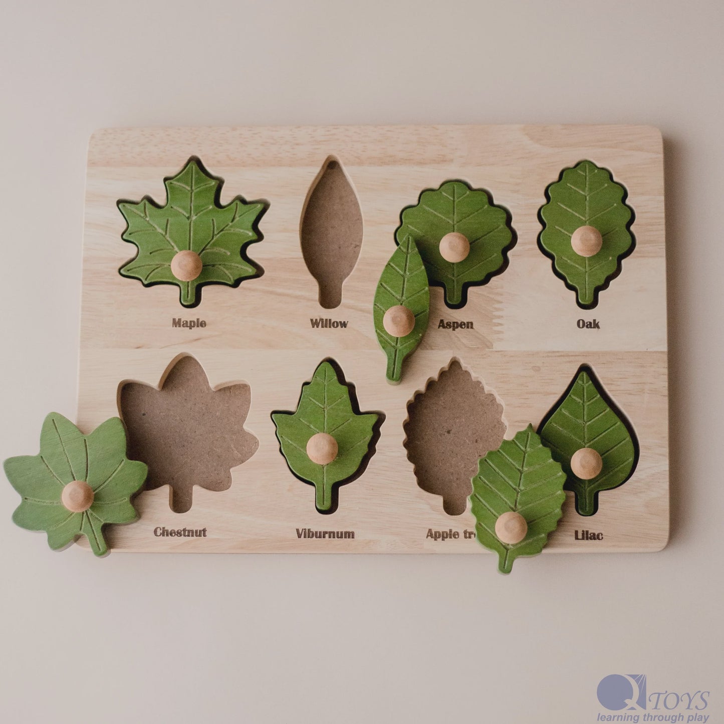 Montessori Leaf Puzzle