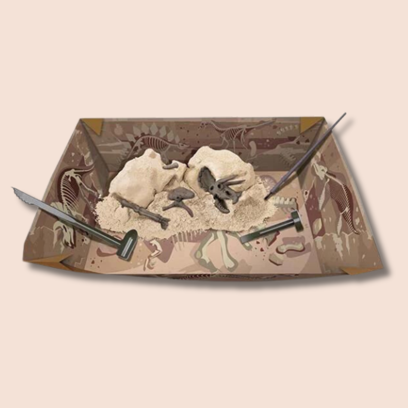 Dig A Dinosaur Skeleton | Triceratops