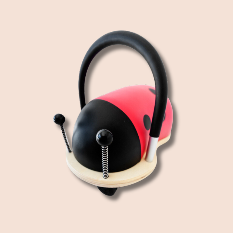 Wheely Bug | Ladybug (Small)
