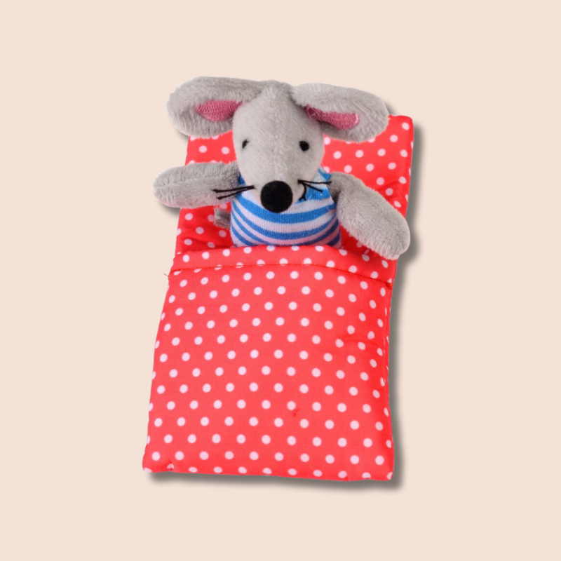 Mouse in a Little House