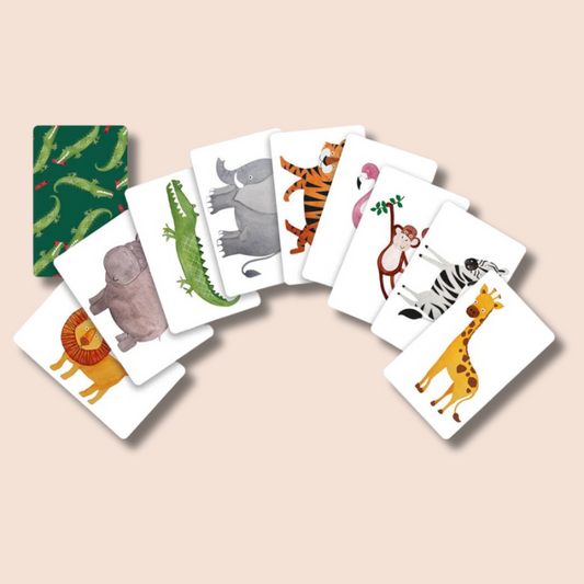 Safari Snap Christmas Crackers (6 Crackers)