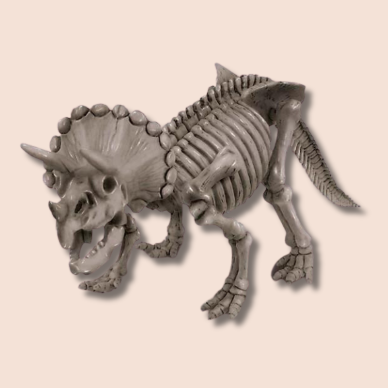Dig A Dinosaur Skeleton | Triceratops