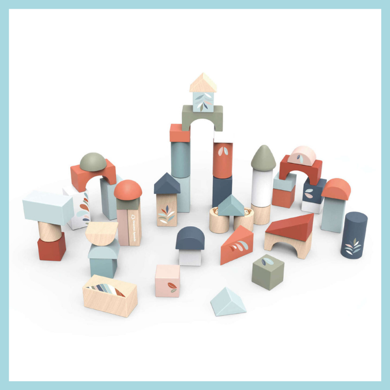 Wooden Building Blocks (50 Pieces)