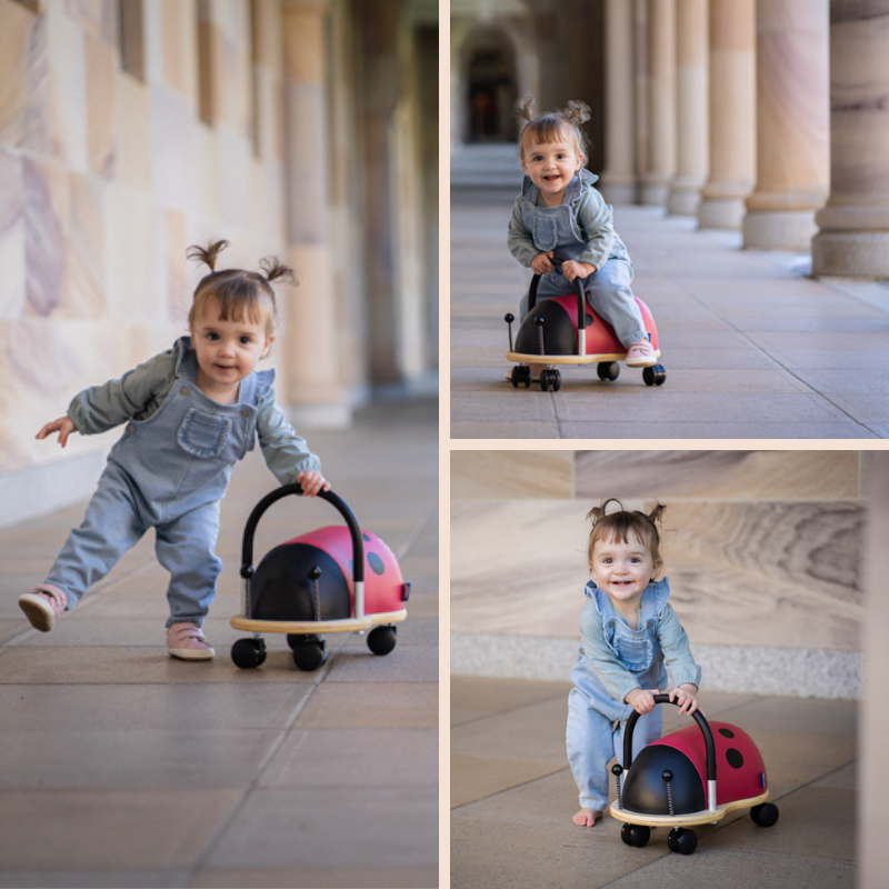 Wheely Bug | Ladybug (Small)
