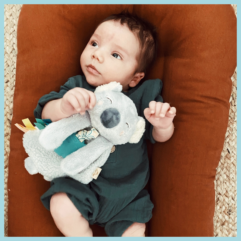 Lovey Plush & Teether Toy. - Koala