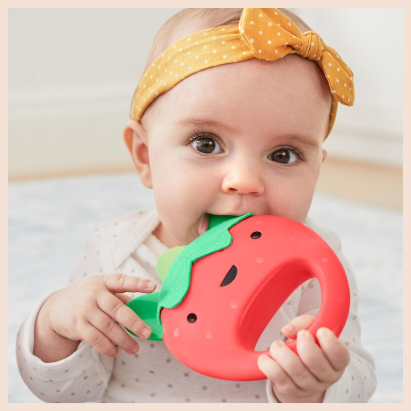 Farmstand Berry Band Set