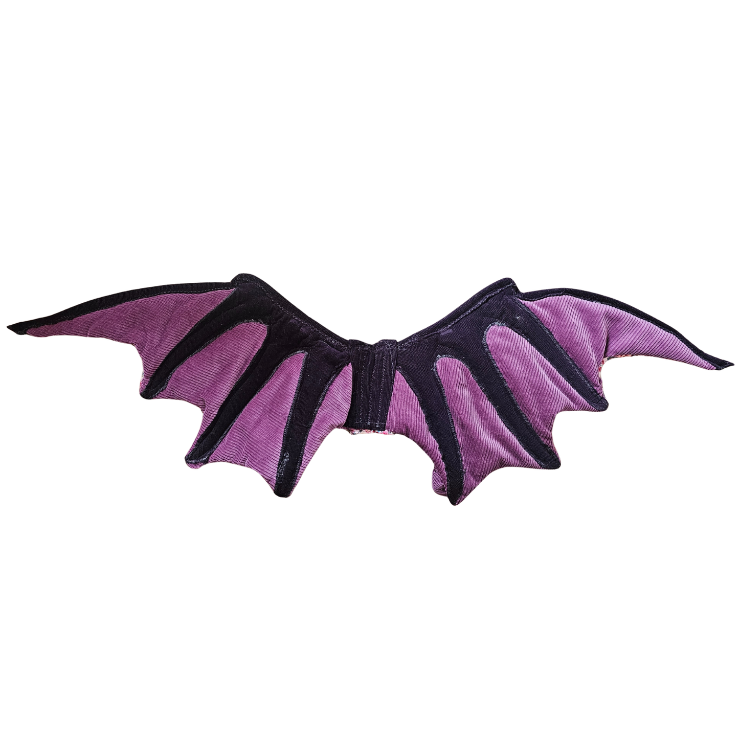 Perfectly Imperfect Dragon Wings