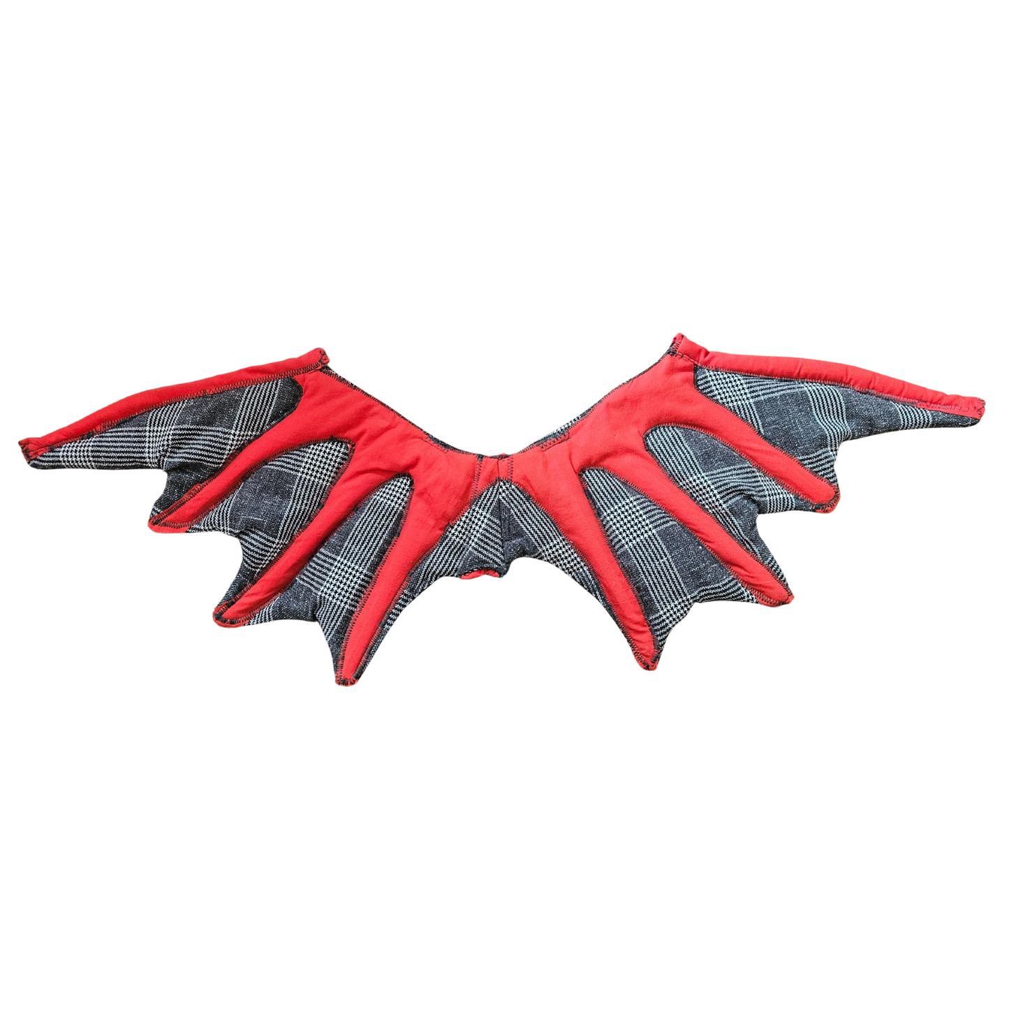 Perfectly Imperfect Dragon Wings