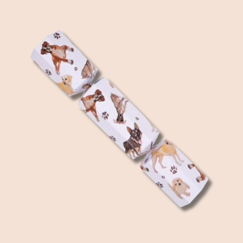 Doggy Christmas Cracker