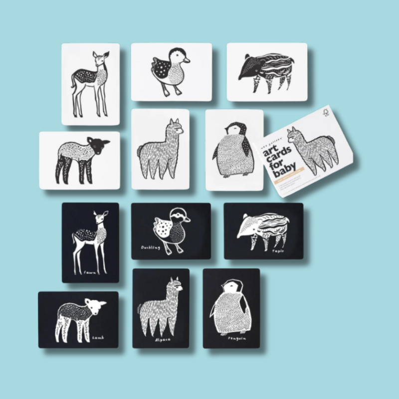 Art Cards for Baby | Baby Animal Collection