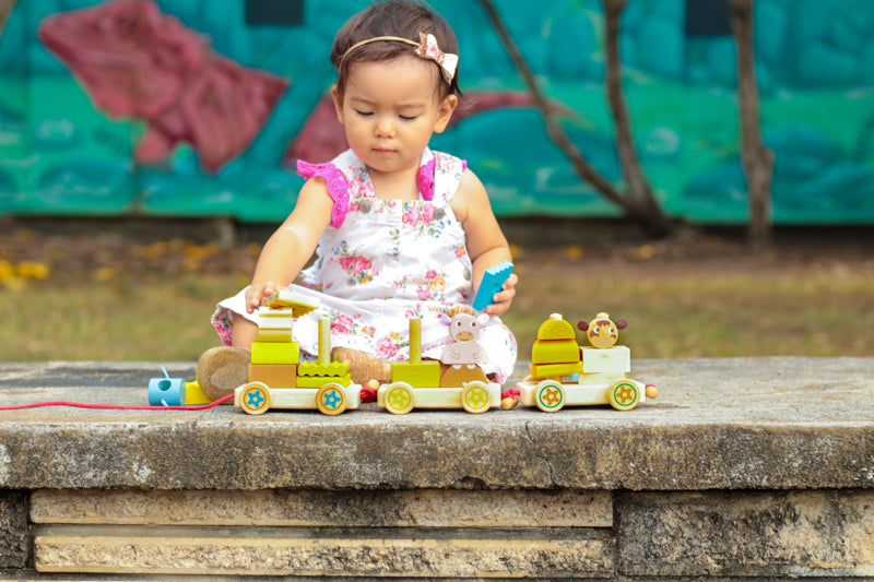 Djeco Wooden Pull-Along Trains – Jungle, Farm & Creafarm