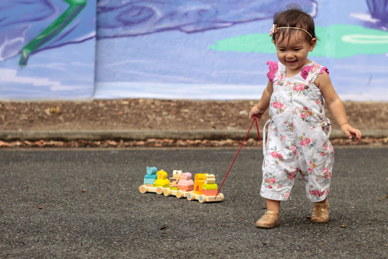 Djeco Wooden Pull-Along Trains – Jungle, Farm & Creafarm