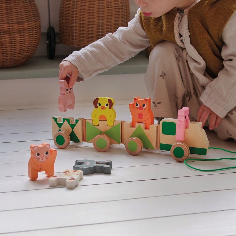 Djeco Wooden Pull-Along Trains – Jungle, Farm & Creafarm