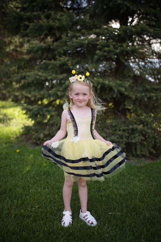 Bumble Bee Dress & Headband Size 3-4