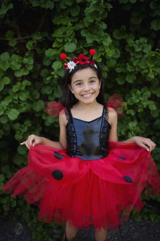 Lady Bug Dress & Headband Size 3-4