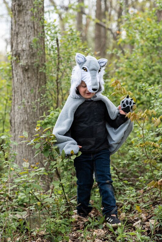 Woodland Storybook Wolf Cape Size 4-6