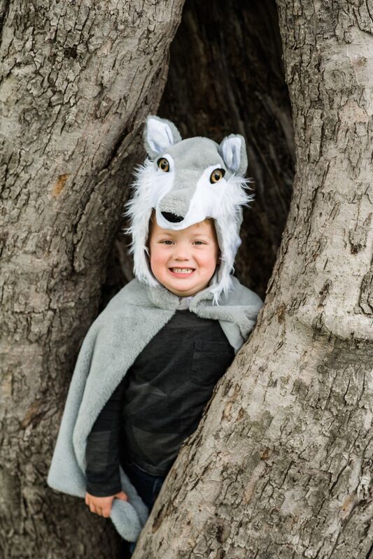 Woodland Storybook Wolf Cape Size 4-6