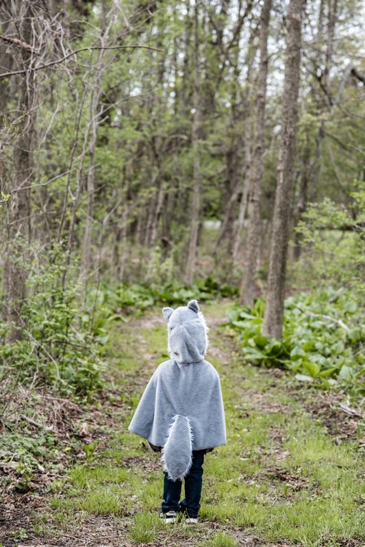 Woodland Storybook Wolf Cape Size 4-6