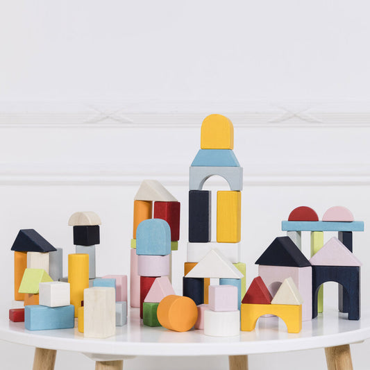 Colourful Building Blocks & Bag - 60 Piece