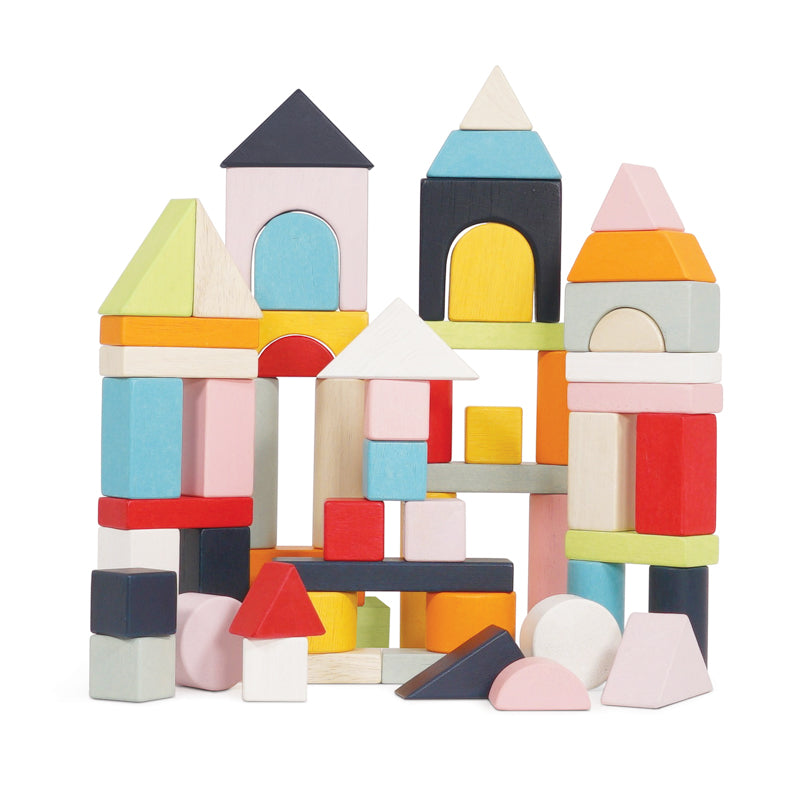 Colourful Building Blocks & Bag - 60 Piece