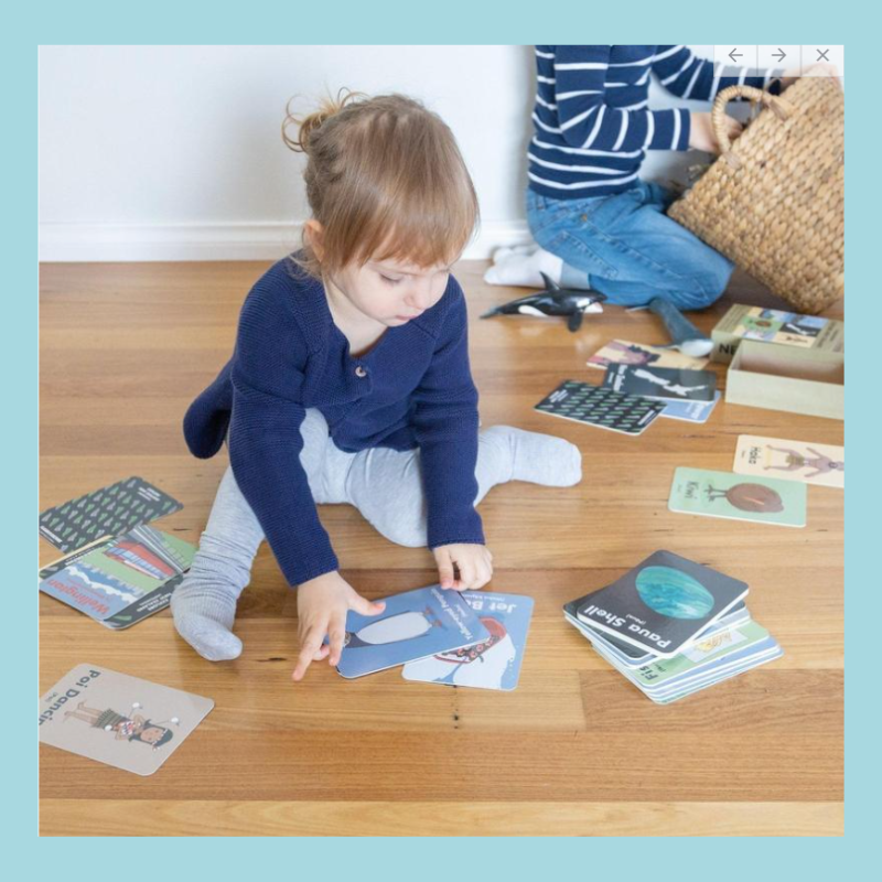 Flash of Culture Cards