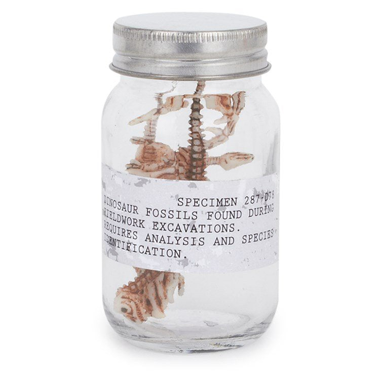 Dino Fossils in a Jar!