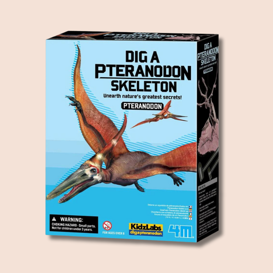 Dig A Dinosaur Skeleton | Pteranodon