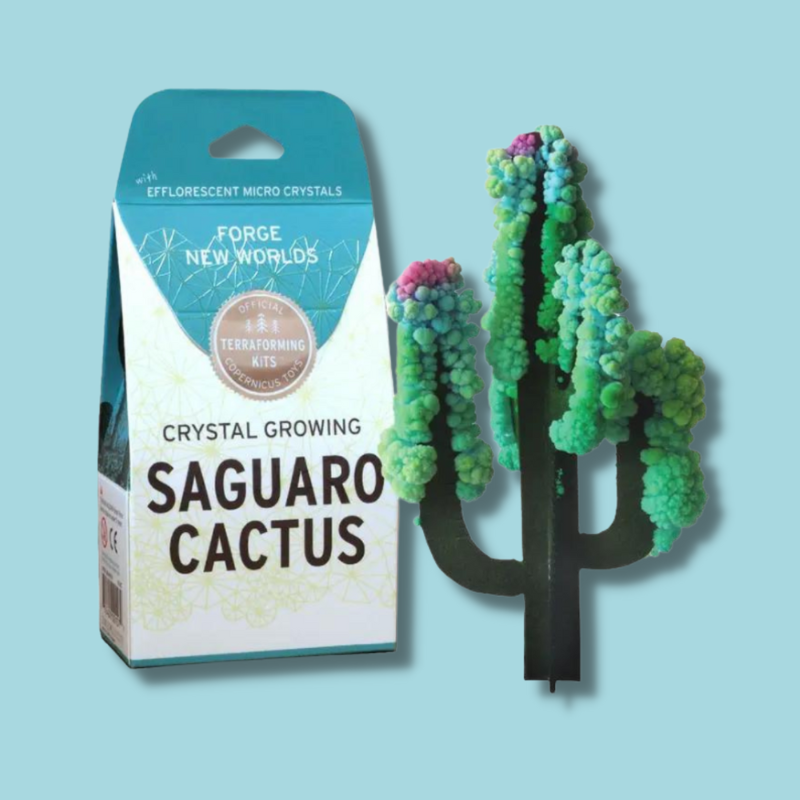 Crystal Growing Saguaro Cactus