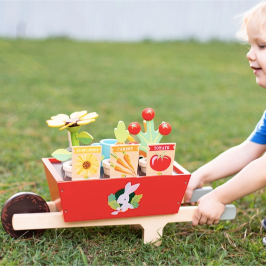 Tender Leaf Toys