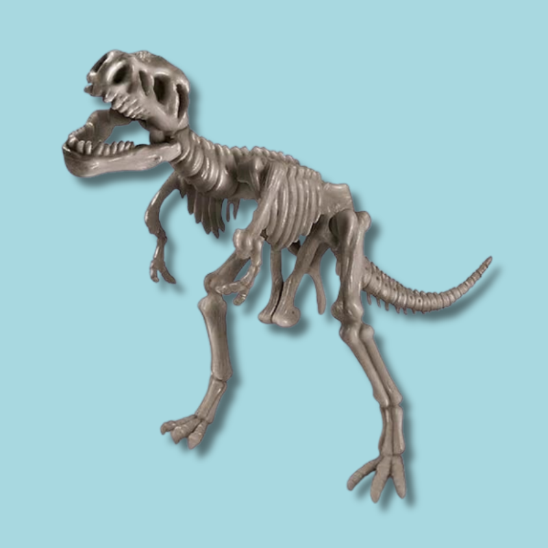 Dig A Dinosaur Skeleton | T-Rex