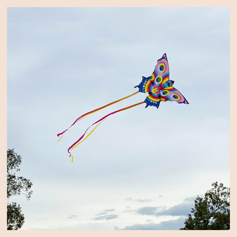 Butterfly Kite