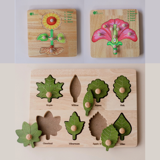 Montessori Plants Bundle