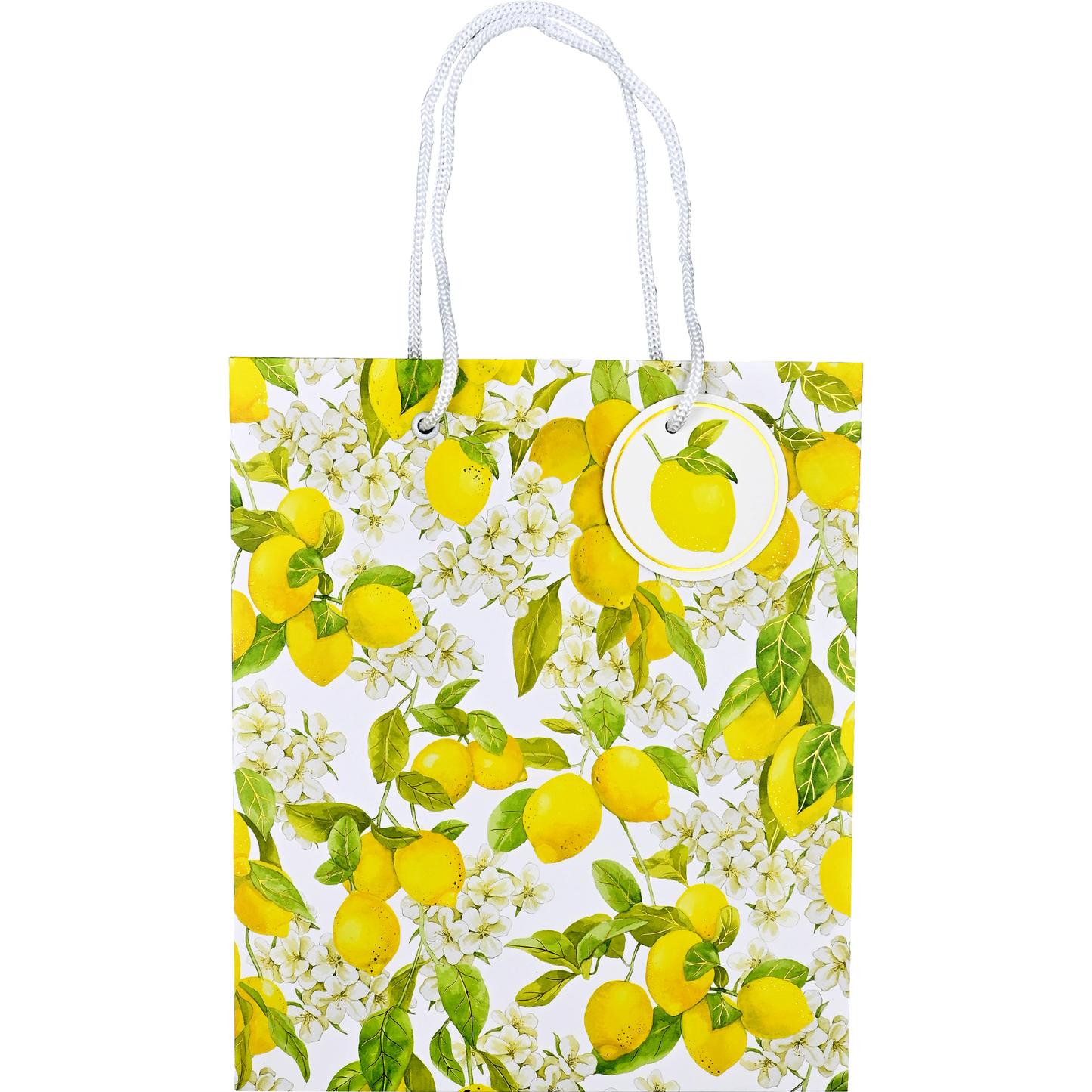 Deluxe Gift Bag