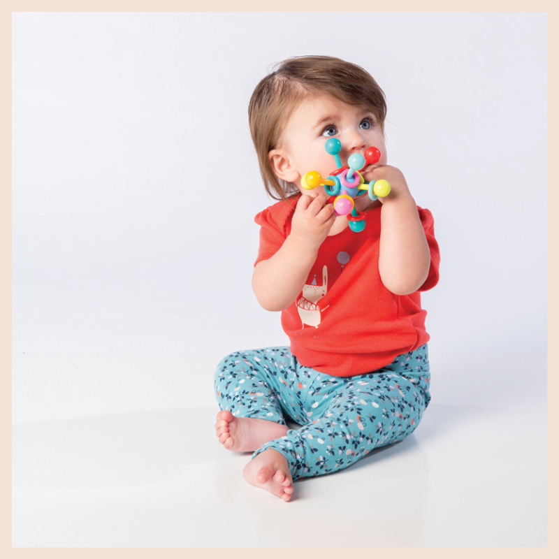 Atom Rattle & Teether Toy