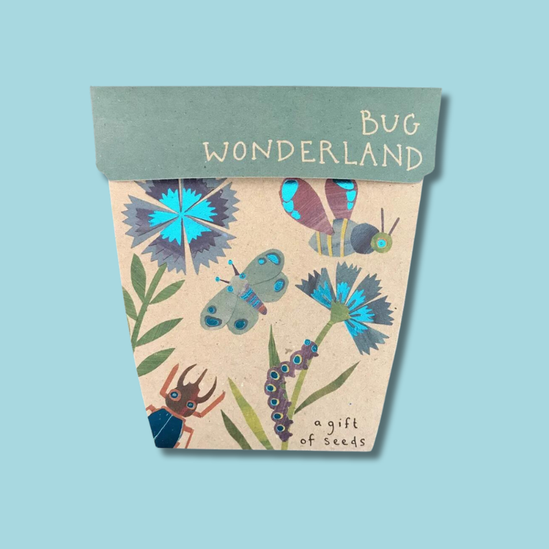 Gift of Seeds | Bug Wonderland