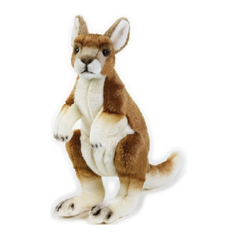 Kangaroo - Soft Toy - National Geographic