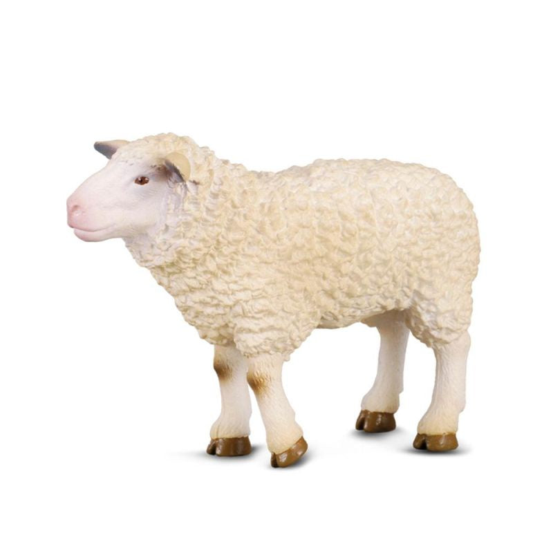 CollectA | Sheep