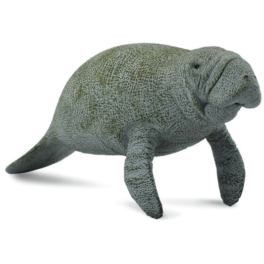 CollectA | Manatee Figurine