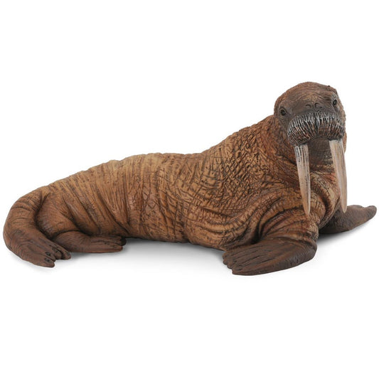 CollectA | Walrus Figurine