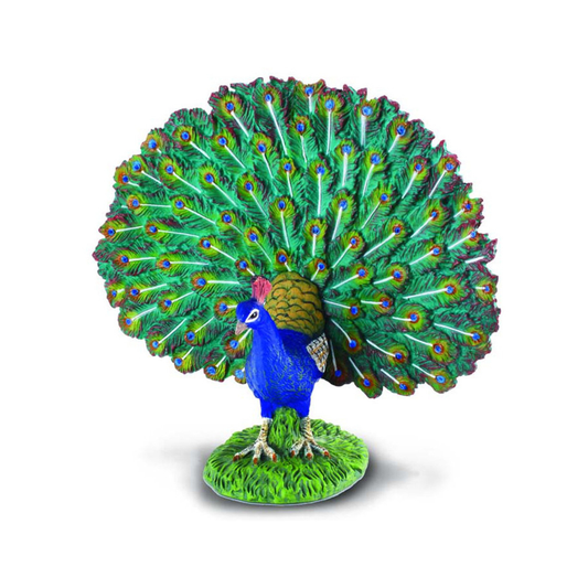 CollectA | Peacock Figurine