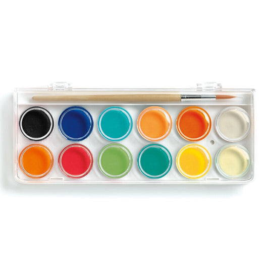 12 Colour Palette Classic Paint Set