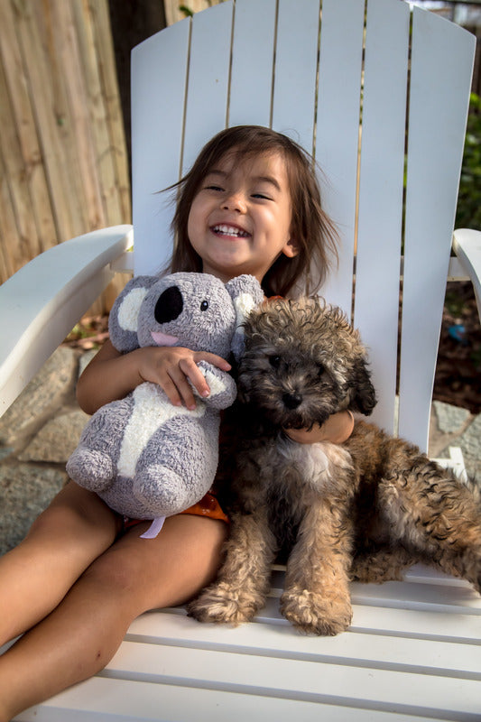 Organic Koala Plush