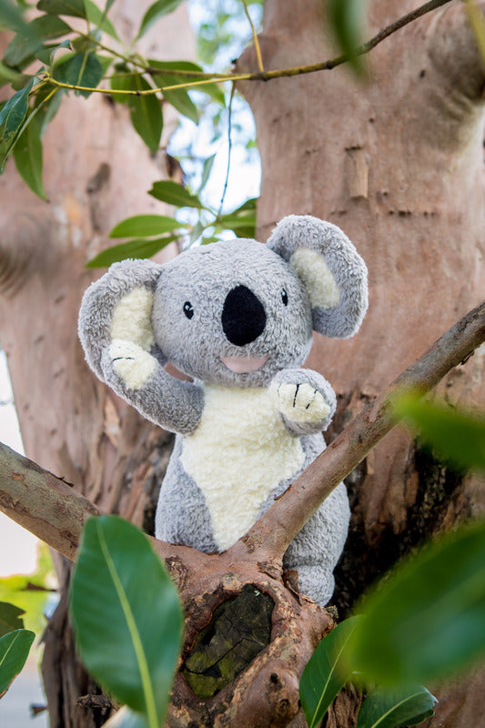 Organic Koala Plush
