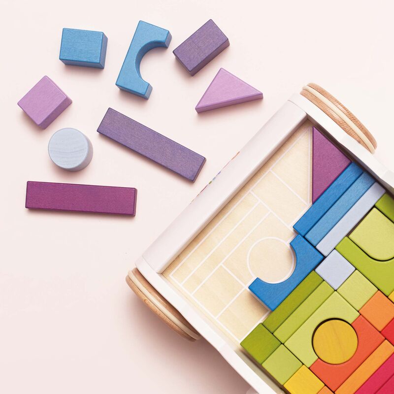 Rainbow Baby Walker & Puzzle (45 Blocks)