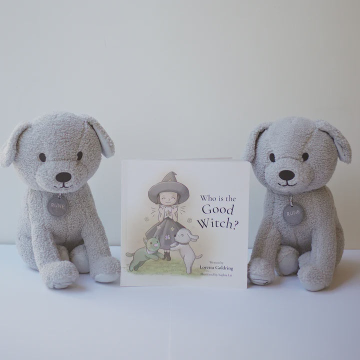 Rune the Brave Dog – Twin Bundle