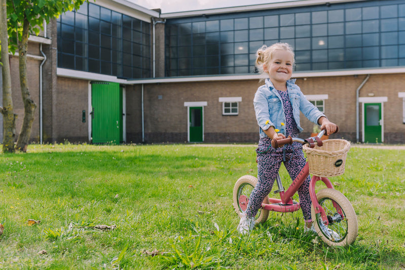 Trybike - Tricycle and Balance Bike Combo